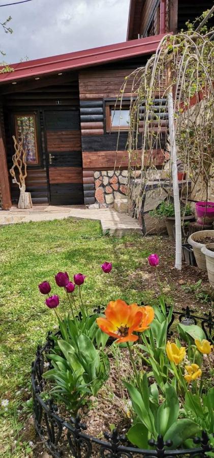 Bungalow 3 With 1 Room Sarajevo Exterior photo